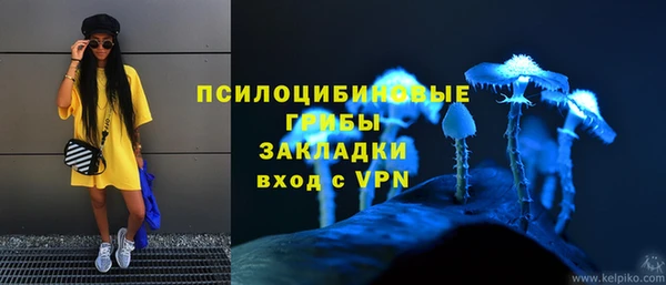 MDMA Premium VHQ Богородицк