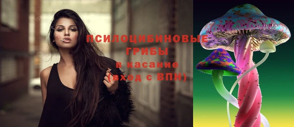 МДМА Богданович