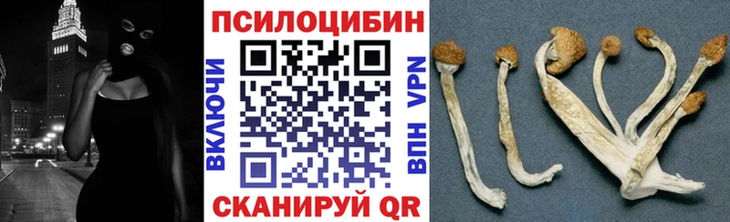 Галлюциногенные грибы Magic Shrooms  как найти   Новомосковск 