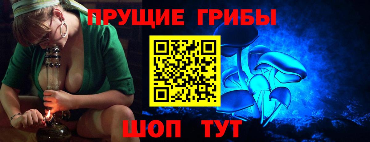 Псилоцибиновые грибы прущие грибы Новомосковск
