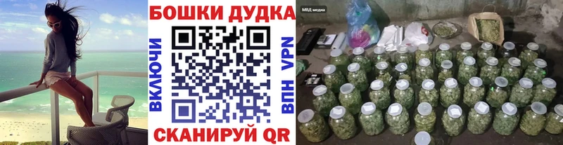 Бошки марихуана Amnesia  Новомосковск 